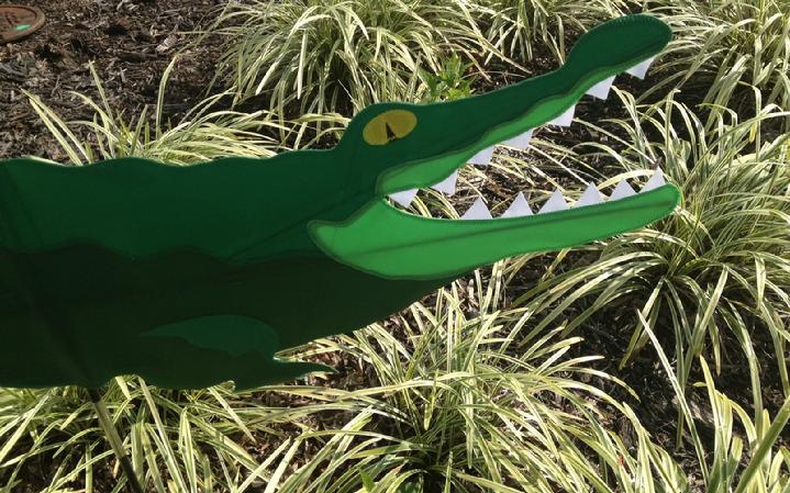 allie the alligator playing in the grass here at bald eagle flag store fredericksburg va