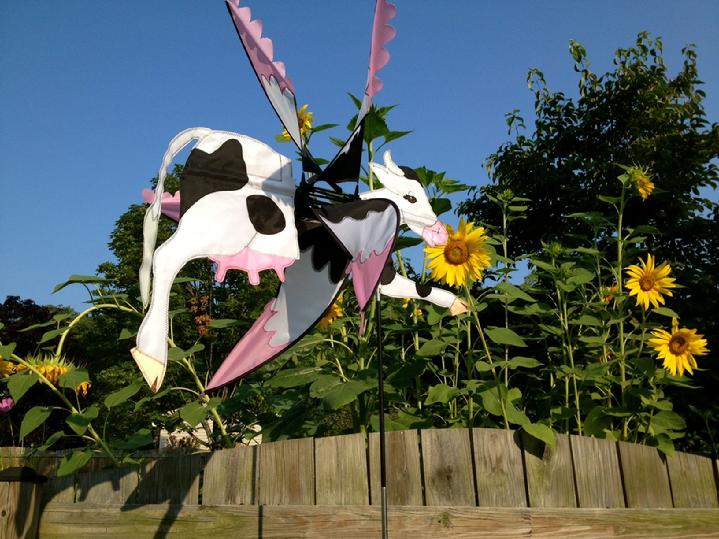 premier kites flying cow whirligig at bald eagle flag store fredericksburg va