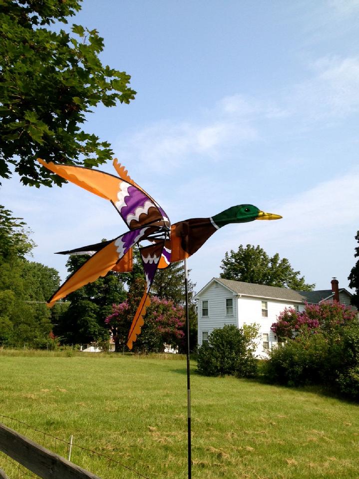 Mallard Duck Garden Spinner by BALD EAGLE FLAG STORE 540-374-3480 BALDEAGLEINDUSTRIES.COM  oldest commercial flagpole and flag store in Fredericksburg serving Richmond, Petersburg, Hampton, Newport News, Norfolk, Va Beach, Arlington, Alexandria, Fairfax, Springfield, Woodbridge, Quantico Mrine Corps Base, Stafford