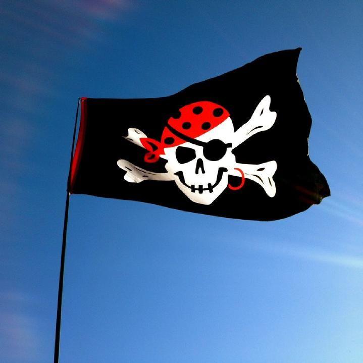 one eyed jack pirate flag from bald eagle flag store fredericksburg va, one eyed jack pirate flag and windsock pole on va beach from bald eagle flag store and bald eagle pirate flag shop