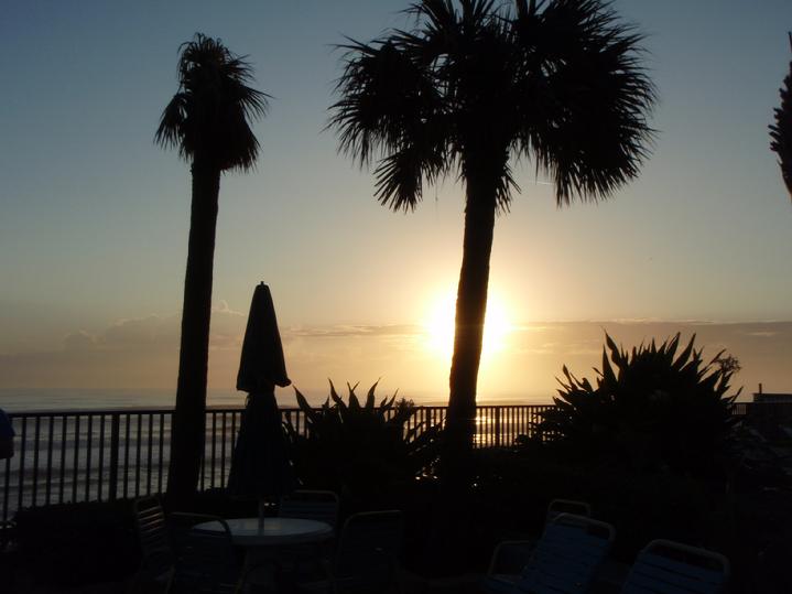 bald Eagle Flag Store watching the sunrise on daytona beach florida